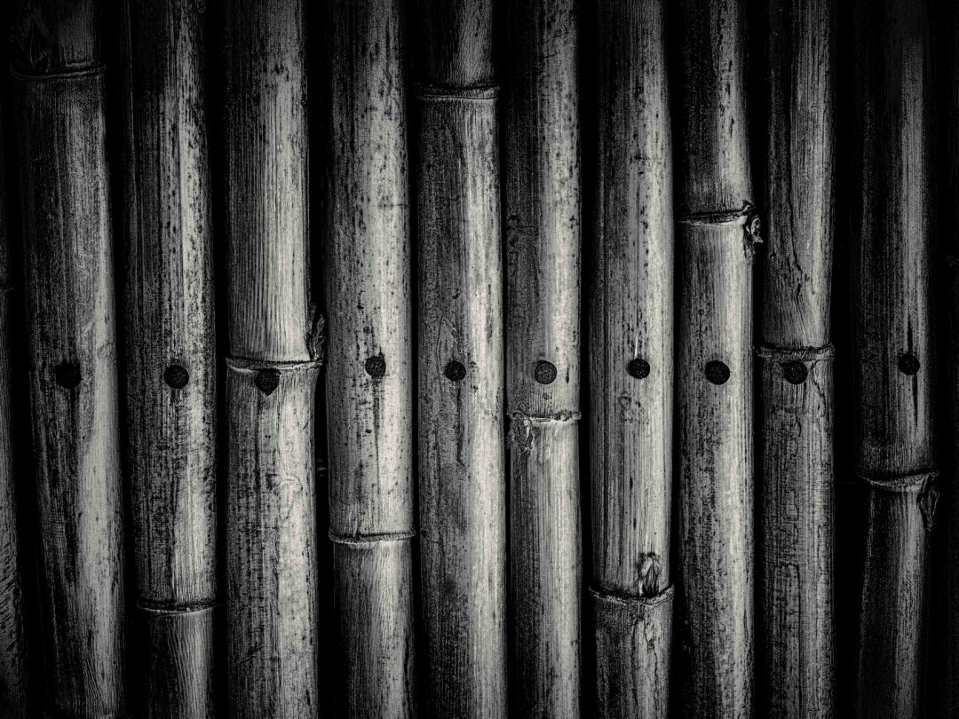 Lines and Textures
